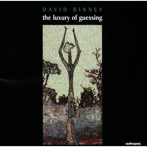 DAVID BINNEY - The Luxury Of Guessing cover 