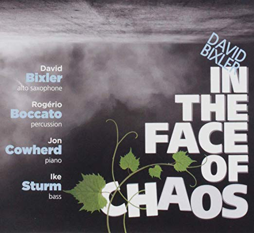 DAVID BIXLER - In The Face Of Chaos cover 