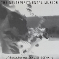 DAVID BOYKIN - The Nextspiritmental Musics of Saxophonist David Boykin cover 