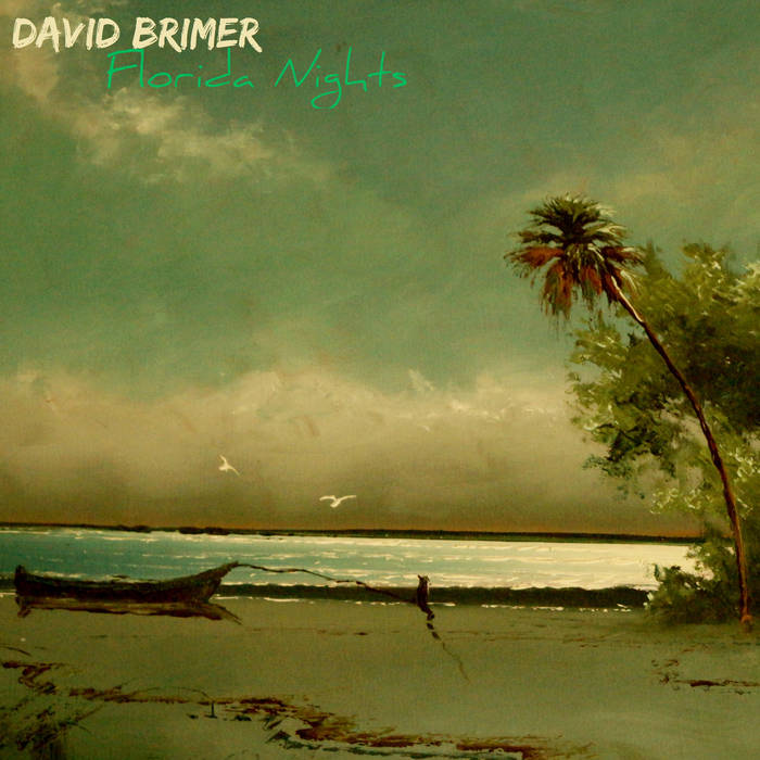 DAVID BRIMER - Florida Nights cover 
