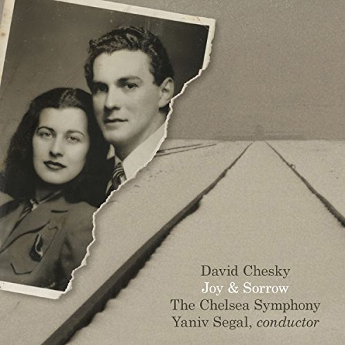 DAVID CHESKY - Joy and Sorrow cover 