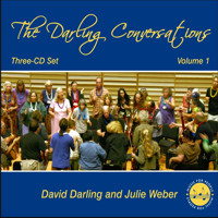 DAVID DARLING - The Darling Conversations cover 