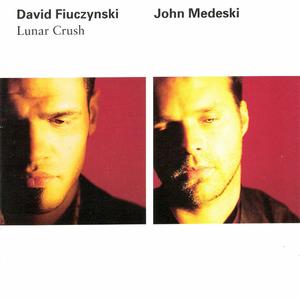 DAVID FIUCZYNSKI - Lunar Crush (with John Medeski) cover 