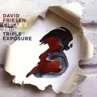 DAVID FRIESEN - David Friesen Circle 3 Trio : Triple Exposure cover 