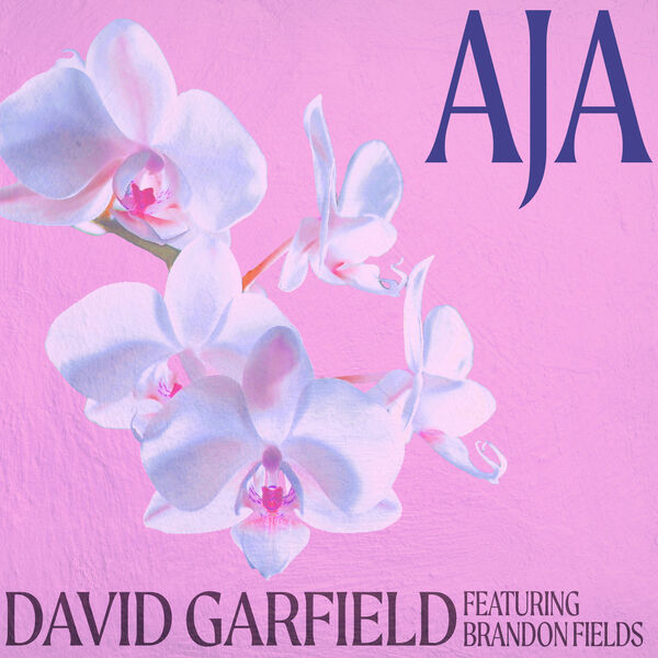 DAVID GARFIELD - Aja (Instrumental Version) cover 