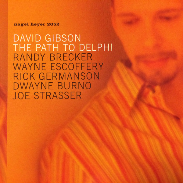 DAVID GIBSON - The Path To Delphi cover 