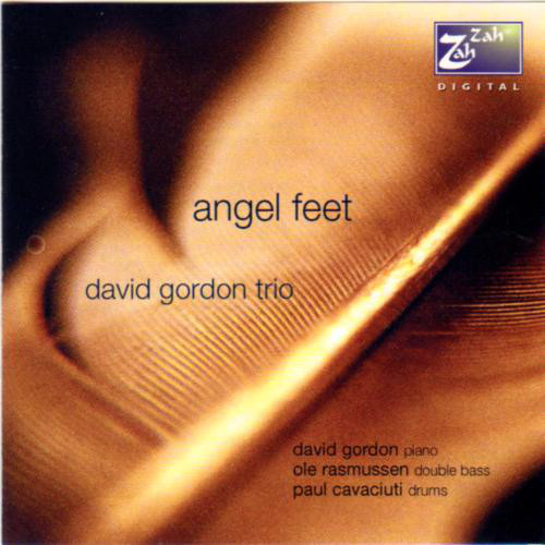DAVID GORDON - Angel Feet cover 