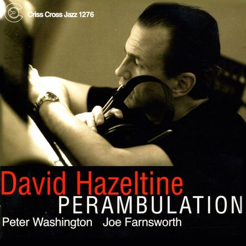 DAVID HAZELTINE - Perambulation cover 