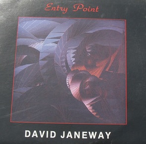 DAVID JANEWAY - Entry Point cover 