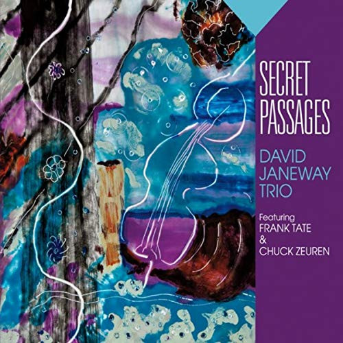 DAVID JANEWAY - Secret Passages cover 