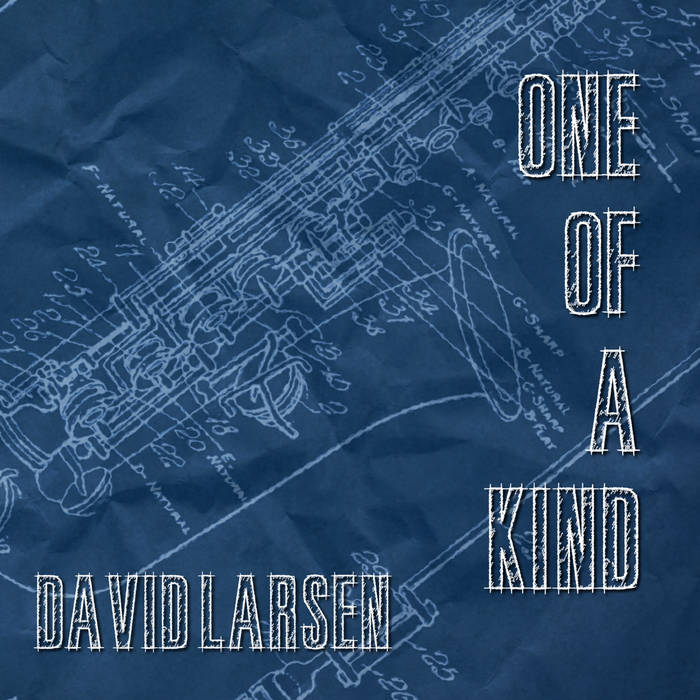 DAVID LARSEN - One of a Kind cover 