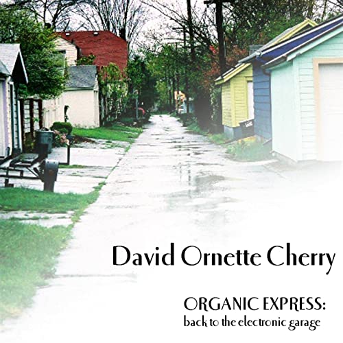 DAVID ORNETTE CHERRY - Organic Express  : Back to the Electronic Garage cover 