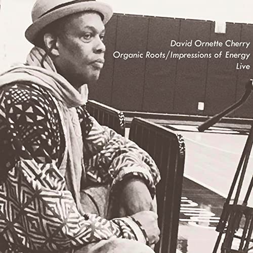 DAVID ORNETTE CHERRY - Organic Roots/ Impressions of Energy Live cover 
