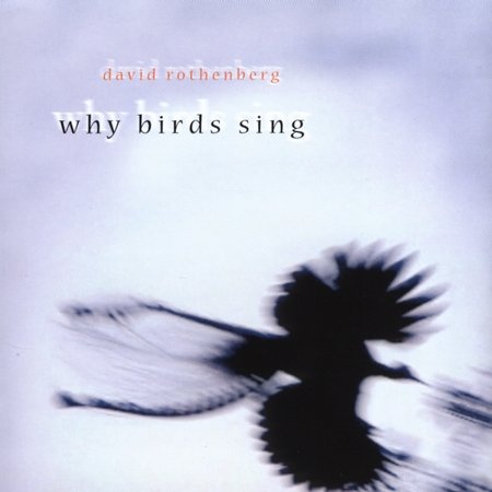 DAVID ROTHENBERG - Why Birds Sing? cover 