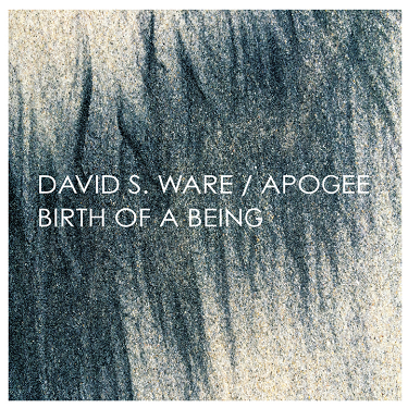 DAVID S. WARE - David S. Ware Apogee : Birth Of A Being cover 