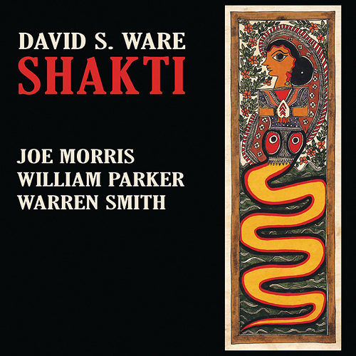 DAVID S. WARE - Shakti cover 