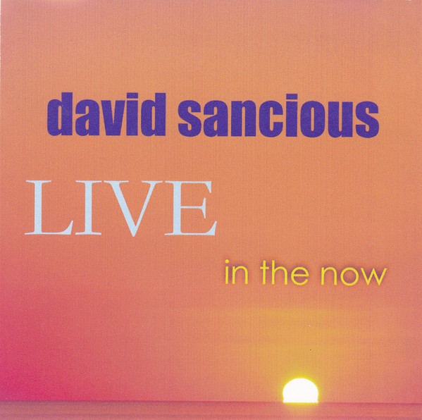 DAVID SANCIOUS - Live in the Now cover 