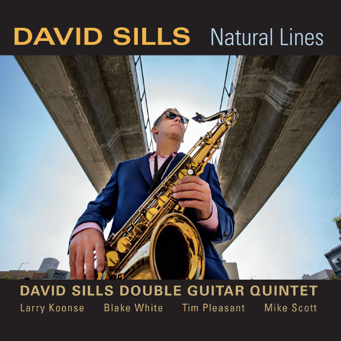 DAVID SILLS - David Sills Double Guitar Quintet : Natural Lines cover 