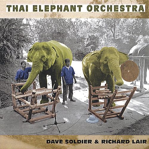 DAVID SOLDIER - Thai Elephant Orchestra cover 