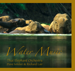DAVID SOLDIER - Thai Elephonic Orchestra : Water Music cover 