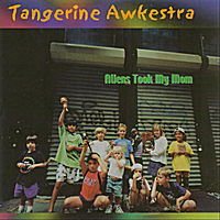 DAVID SOLDIER - The Tangerine Awkestra : Aliens Took My Mom cover 