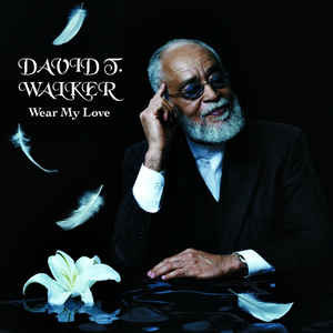 DAVID T WALKER - Wear My Love cover 