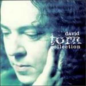 DAVID TORN - The David Torn Collection cover 
