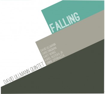 DAVID ULLMANN - Falling cover 
