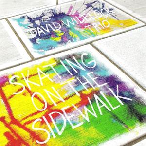 DAVID WIDELOCK - Skating On The Sidewalk cover 
