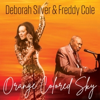 DEBORAH SILVER - Orange Colored Sky cover 
