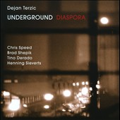 DEJAN TERZIĆ - Diaspora cover 