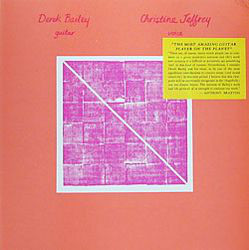DEREK BAILEY - Derek Bailey, Christine Jeffrey : Views From Six Windows cover 