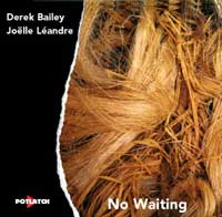 DEREK BAILEY - No Waiting (with Joëlle Léandre) cover 
