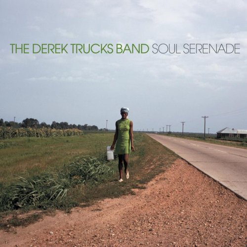 DEREK TRUCKS - Soul Serenade cover 