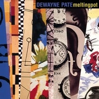 DEWAYNE PATE - Melting Pot cover 