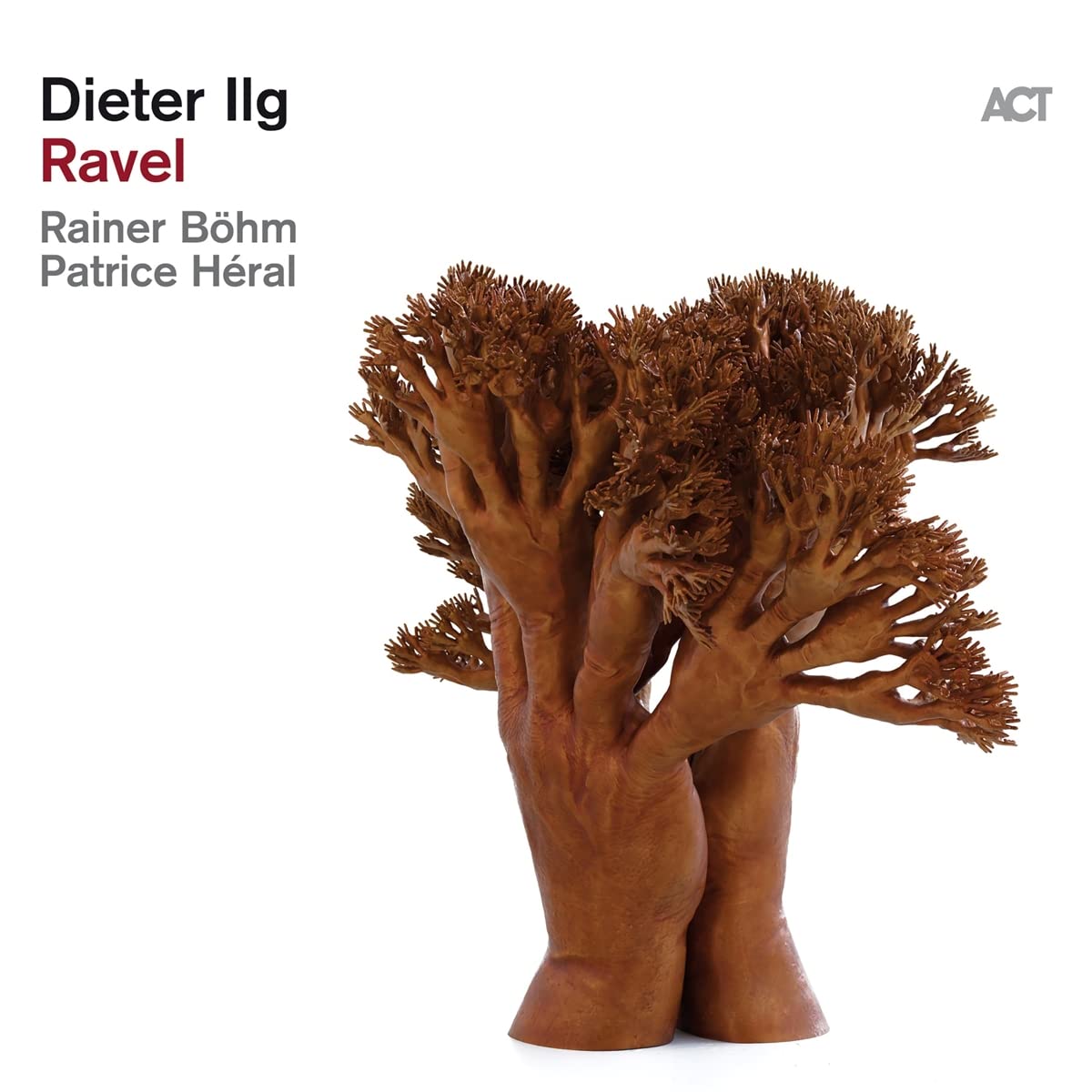 DIETER ILG - Ravel cover 