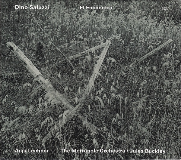 DINO SALUZZI - El Encuentro cover 