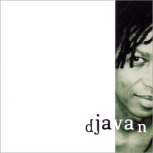 DJAVAN - Bicho solto cover 