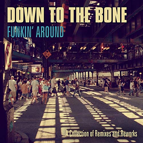 DOWN TO THE BONE - Funkin' Around : A Collection of Remixes and Reworks cover 