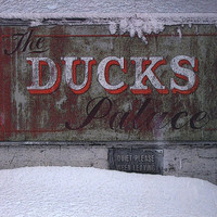 DUCK BAKER - The Ducks Palace cover 