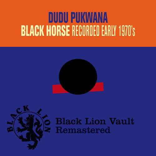 DUDU PUKWANA - Black Horse cover 