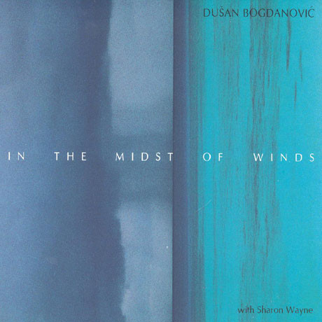 DUŠAN BOGDANOVIĆ - In The Midst Of Winds cover 