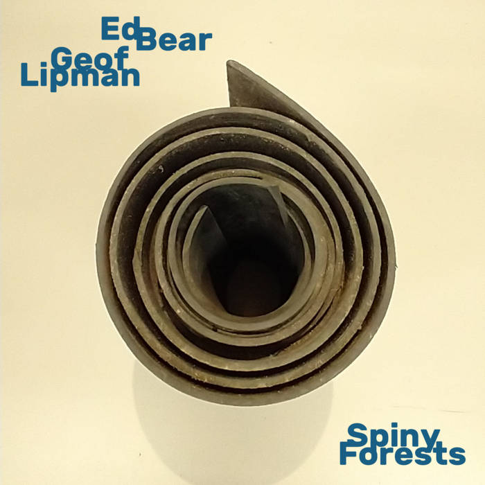 ED BEAR AND GEOF LIPMAN - Spiny Forests cover 