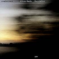 EDWARD VESALA - Invisible Storm cover 