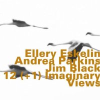 ELLERY ESKELIN - 12 (+1) Imaginary Views (with Andrea Parkins & Jim Black) cover 