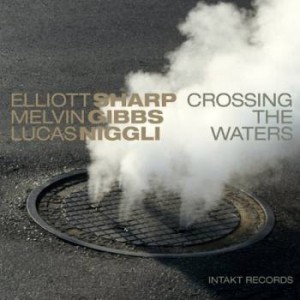 ELLIOTT SHARP - Crossing The Waters cover 