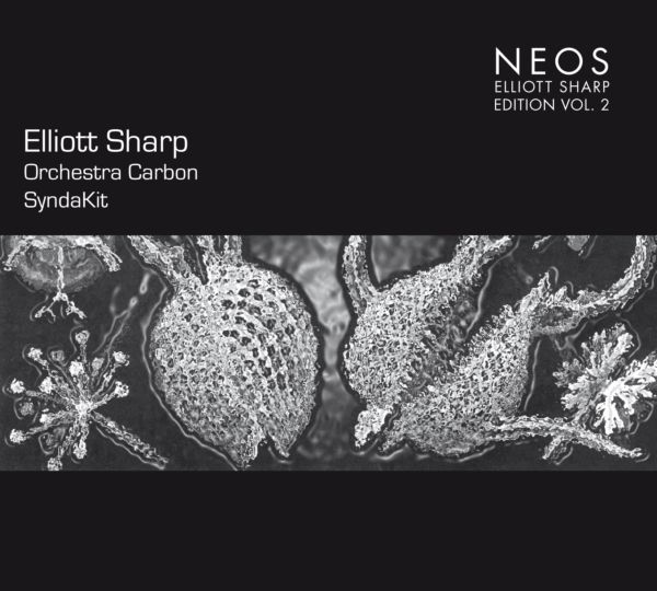 ELLIOTT SHARP - Elliott Sharp / Orchestra Carbon : SyndaKit cover 