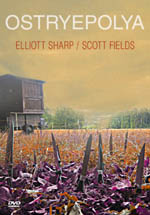 ELLIOTT SHARP - Elliott Sharp / Scott Fields  : Ostryepolya cover 