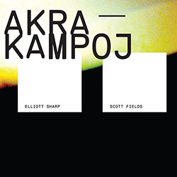 ELLIOTT SHARP - Elliott Sharp + Scott Fields : Akra Kampoj cover 
