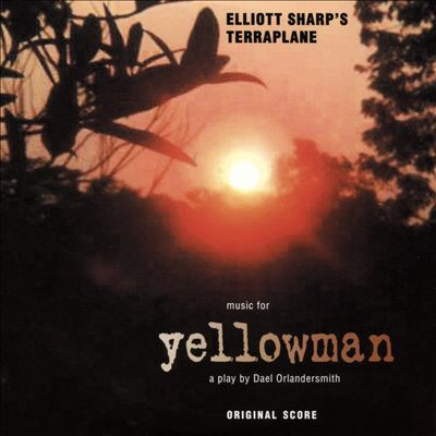 ELLIOTT SHARP - Elliott Sharp's Terraplane : Music For Yellowman, A Play By Dael Orlandersmith cover 